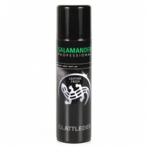 Salamander Professional - Аэрозоль Leather Fresh - для обновления цвета изделий из гладких кож арт.8286 упаковка 12 шт